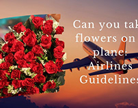 Can you take flowers on a plane: Airlines Guidelines