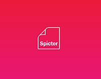 Spicter - Software Company