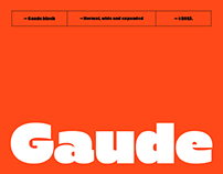 Gaude Typeface