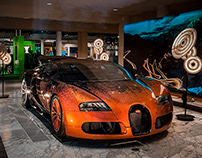Bugatti Veyron Venet Edition