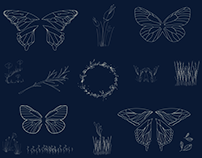 Botanical Drawings - Pattern