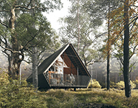 Cabin with black