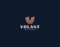 Visual identity for VOLANT holdings (v+wings)