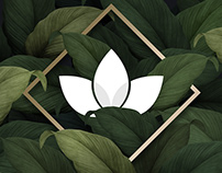 Hiedra y Bambú - Branding
