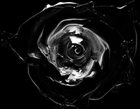 Rose variations - CGI