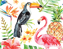 Watercolor tropical set