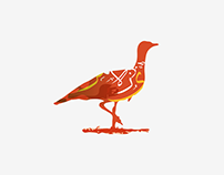 Houbara Center for Avian Research Design Project