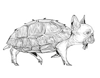 Rhinophraz-parafrázis