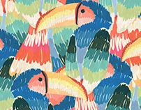 Farm - Tucanos pintados