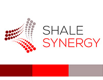 Shale Synergy - Diseño de isologo y tarjeta