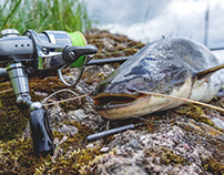 Best Fishing Reel For Catching Catfish