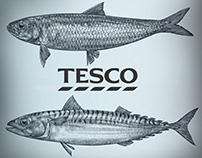 Tesco Seafood Packaging Illustrated by Steven Noble