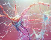Neural Pathways (Stills from movie)
