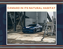 Camaro in its Natural Habitat