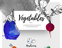 12 Hand Drawn Vectorized Ink Vegetables