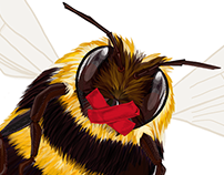 Illustration: Bumblebee