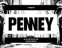 Penney All Caps Sans Serif Display Font
