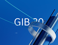 GIB20