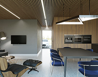 Interior Visuals Residential architecture