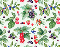 Watercolor illustrations of berries