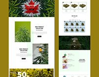 Responsive E-Commerce Website Design for GREEN COURIER