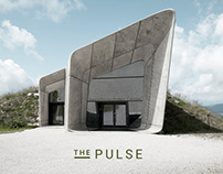 THE PULSE | gifs