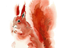 Watercolor Paintings of Animals
