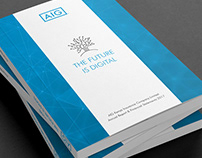 AIG Annual Report 2017