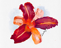 Watercolor flower 20 January, 2022 09.49.45 copy