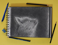 Graphite pencil sketch of Fluffy-The Cat