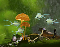 Shelter from rain in the Forest