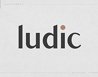 Ludic - Display Vintage Font