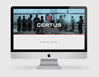 Certus Strategies | Logo and Identity Design