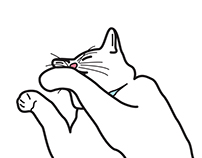 Cat cleaning himself animation