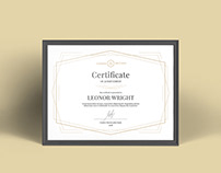 Geometric Certificate Template