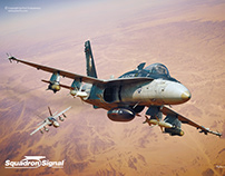 F/A 18 Hornet & Super Hornet in Action