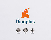 Rinoplus X 汎羽 | 睿智資產，無畏未來