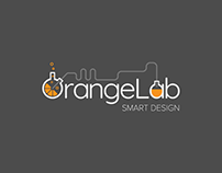 Project “OrangeLab Chile”