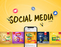 Social Media 2019 | Panshi Bazar