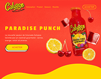 Landing page de paradise punch (fictif)