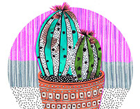 Cacti Collage