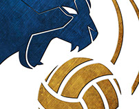 New Logo Volley-Ball Club Limoges