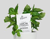 La Inquilina - Aromatic plants