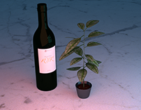 Wine & Plant
