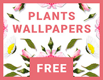 Free floral wallpapers