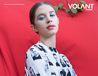 BAUHAUS for Volant Magazine