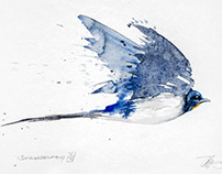 Watercolor-Bird