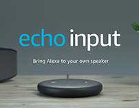 Amazon Echo Input Device Video