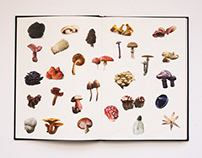 Mushroom Field book