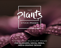 PLANTS Vol.1 Bundle